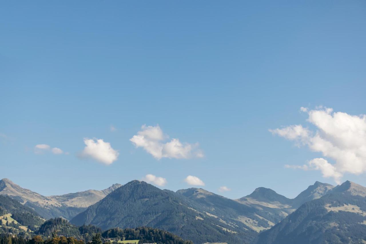 Hornhaus Apartment Kitzbuhel Bagian luar foto